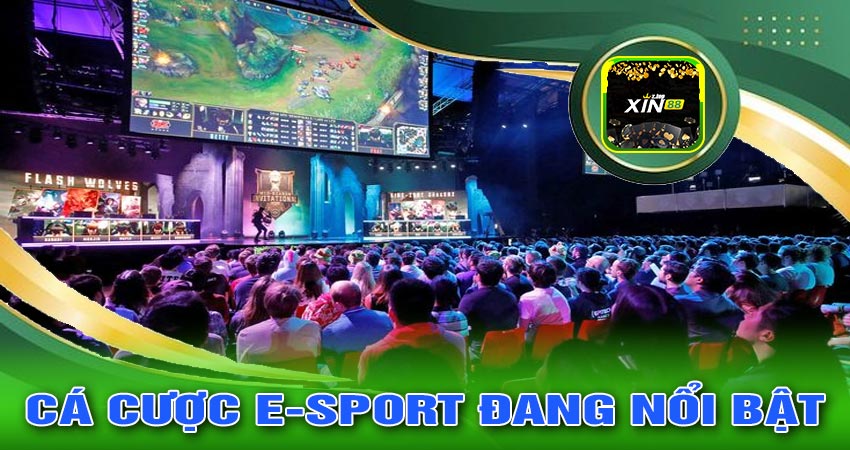 Cá Cược E-sport Đang Nổi Bật