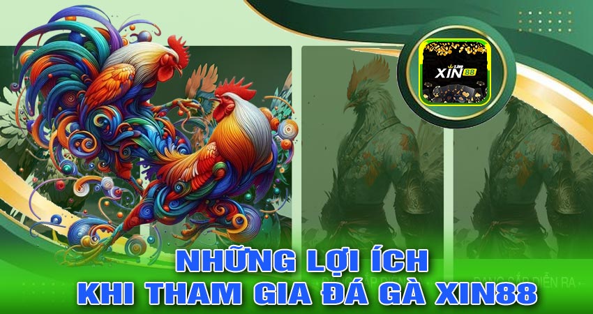 Những Lợi Ích Khi Tham Gia Đá Gà XIN88