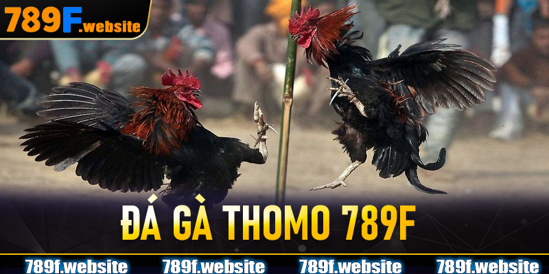 Đá Gà Thomo 789F