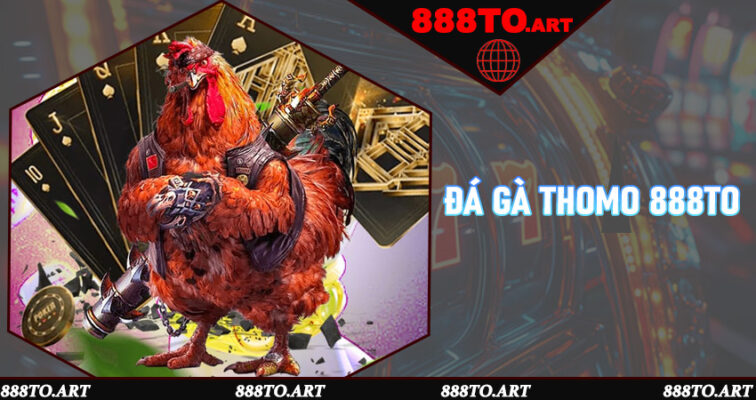 Đá Gà Thomo 888to - Trải Nghiệm Cực Đỉnh Cho Người Đam Mê Cá Cược