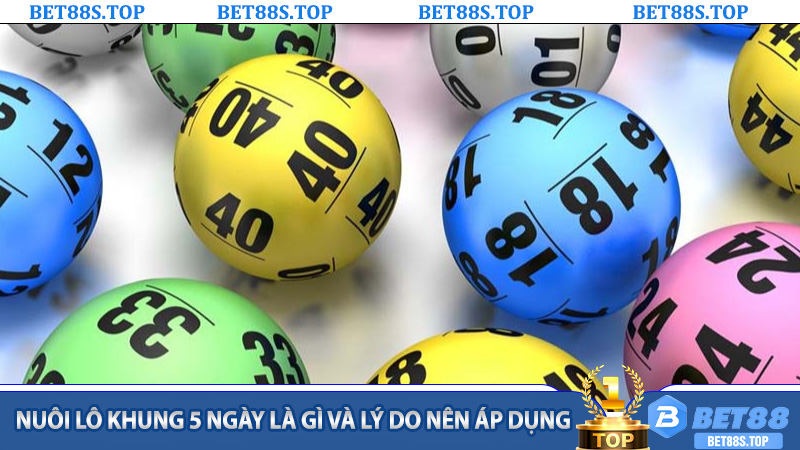 Nuôi Lô Khung 5 Ngày là gì và lý do nên áp dụng