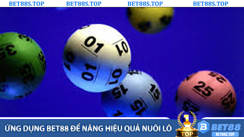 Ứng dụng Bet88 để nâng hiệu quả nuôi lô